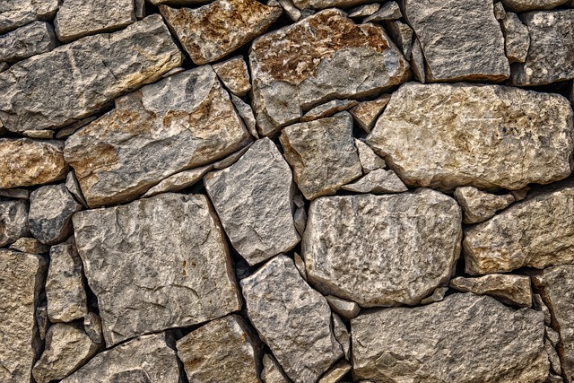 Transform Your Backyard with Hardscapes: A Complete Guide for Homeowners
